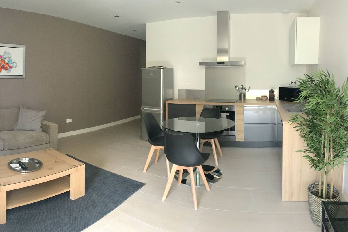 Apartment, Private Bathroom (Deluxe) | Lounge