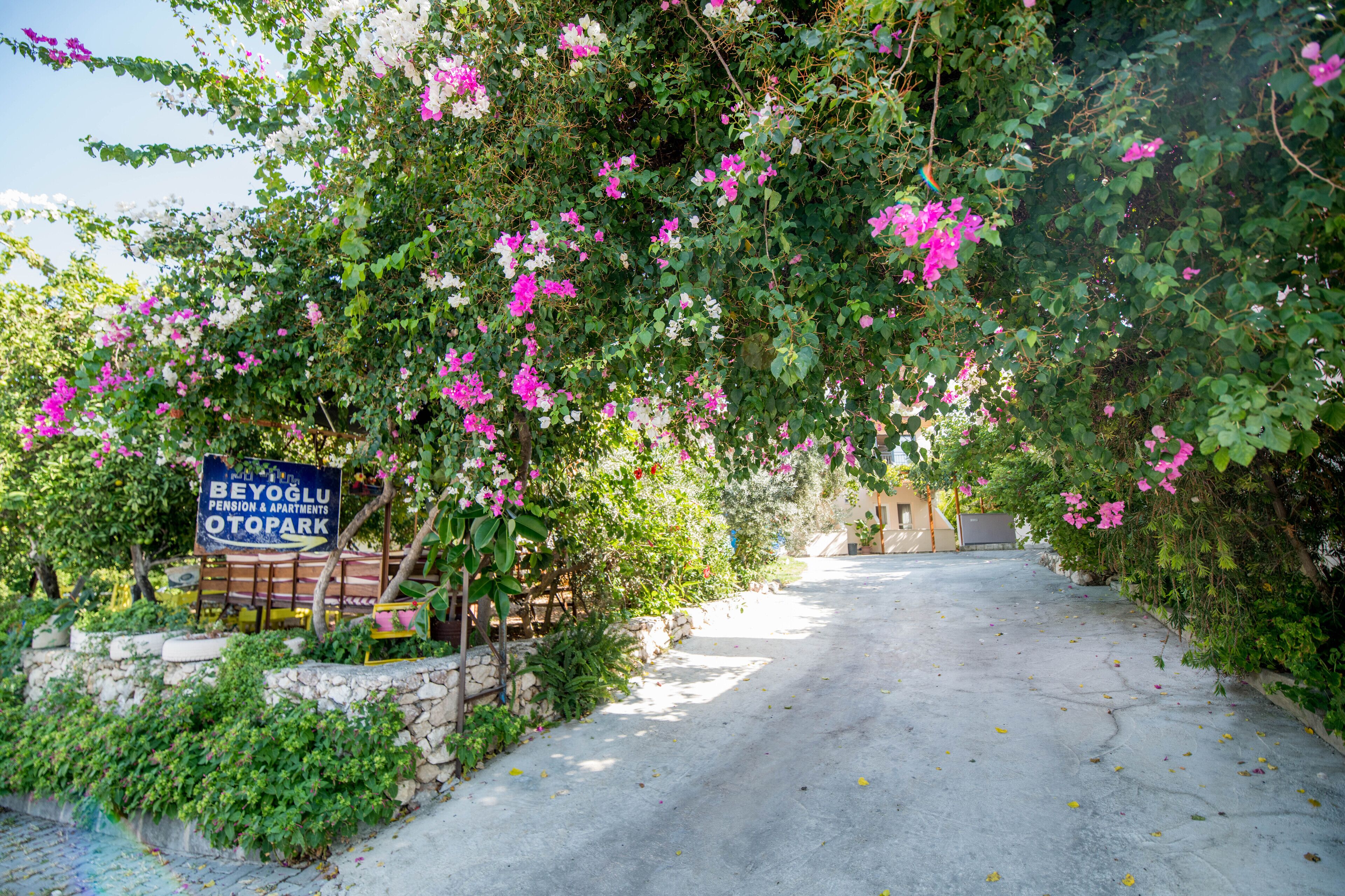 Entrada de la propiedad