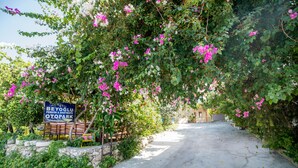 A pathway leading to a building with a sign reading "BEYOGLU PENSION & APARTMENTS OTOPARK". - Beyoglu Pansiyon Apart (Kas)