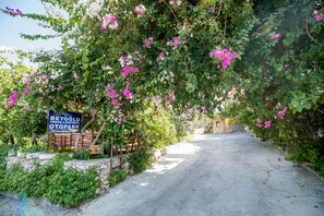 Entrada da propriedade