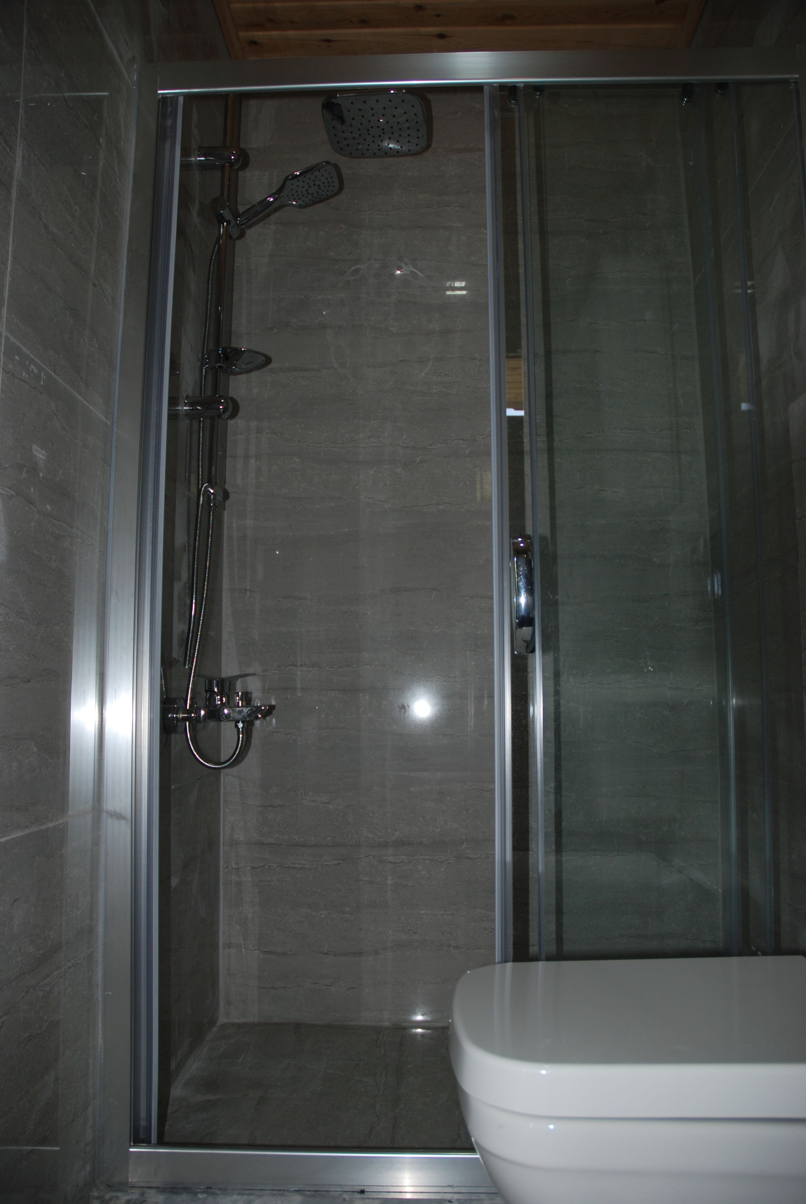 A modern bathroom with a glass-enclosed shower, a toilet, and a tiled wall.