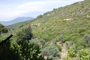 Paisagem montanhosa com vegetação densa e céu claro.