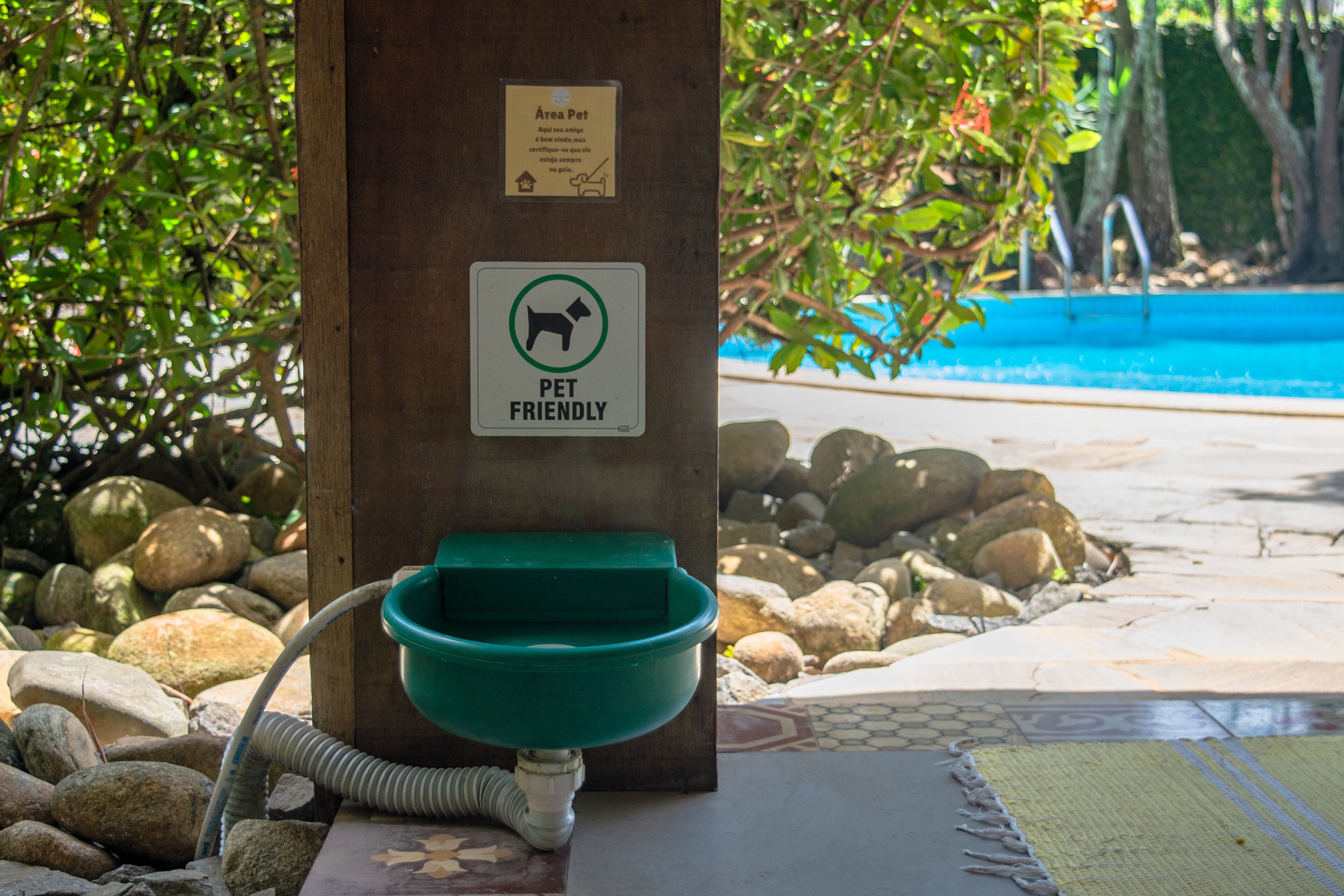 Espacio al aire libre apto para mascotas, con un plato para agua verde sujeto a un poste de madera, rodeado de rocas y follaje.