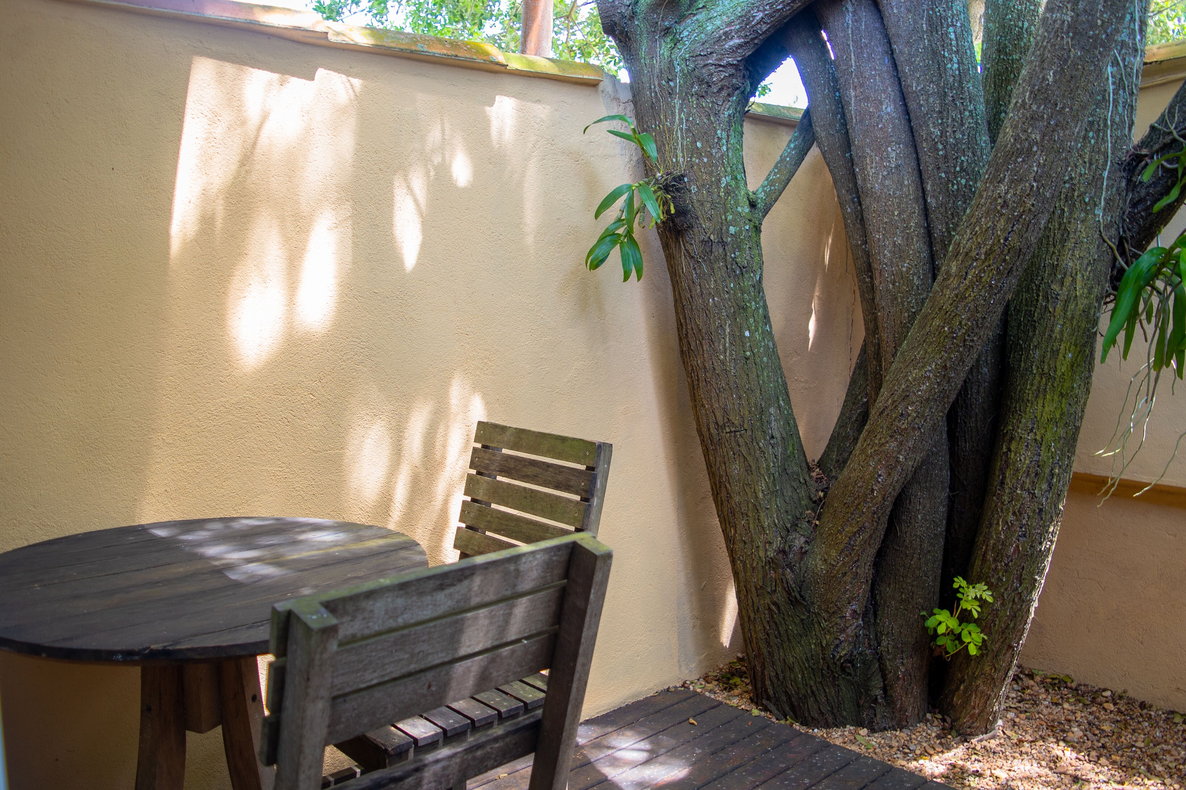 A wooden bench and table against a wall with a large tree trunk.