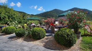 View from property - Hotel Weinberghof & Weingut Lagler (Spitz)