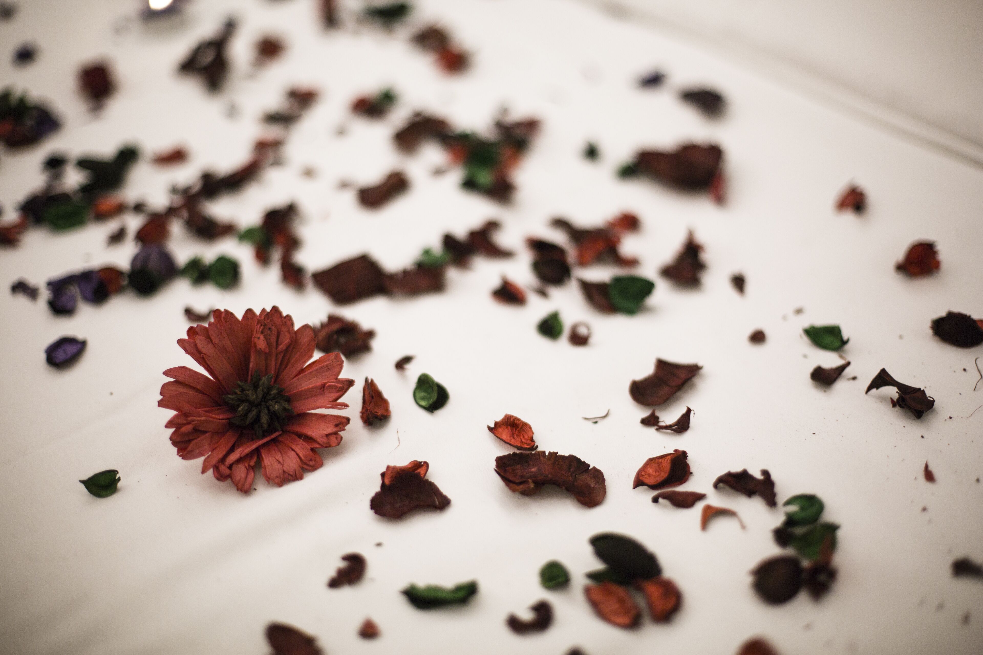 Foto - Büke Hotel Şişli