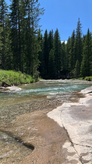 A river with clear water surrounded by dense forest and rocky terrain. - HOTEL SALVANEL BOSCHETTO ROLAND DI DAPRA’ MARIA MADDALENA (Cavalese)