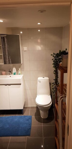 Shower, free toiletries, towels