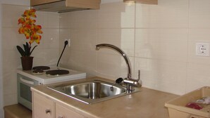 A kitchen with a stainless steel sink, wooden cabinets, a potted plant, and a small stove. - Christianna Studios (Lefkada)