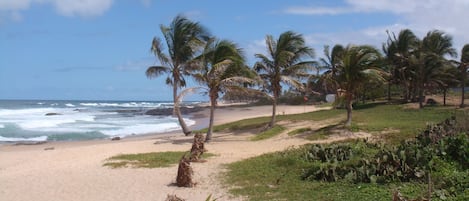 Vue sur la plage/lâocĂ©an