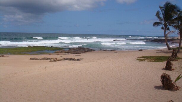 A beach with clear skies, waves, and palm trees. - Stellamares Apartamentos (Salvador)
