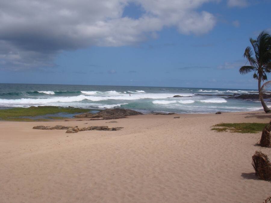 Uma praia com céu claro, ondas e palmeiras.