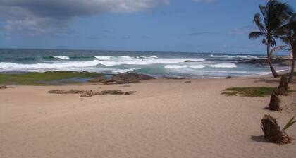 Stellamares Apartamentos