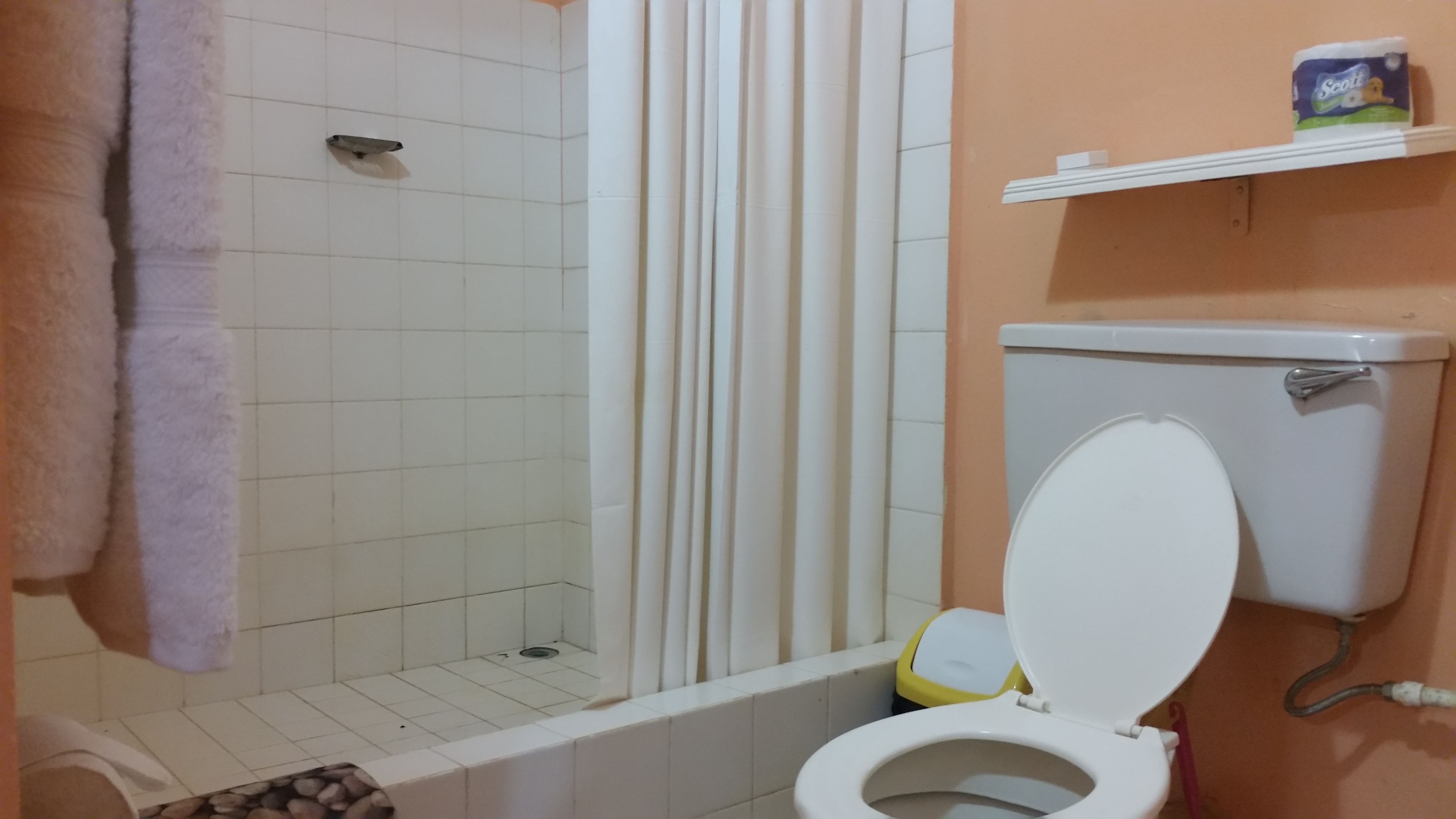 A bathroom with a toilet, a shower, and a shelf with a toilet paper roll.