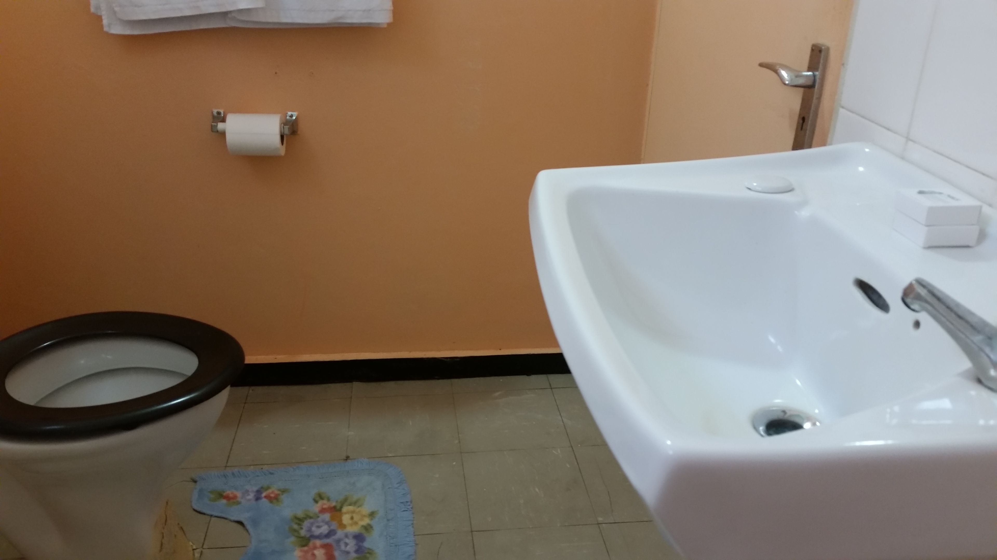 Casa de banho com sanita, lavatório e tapete pequeno.
