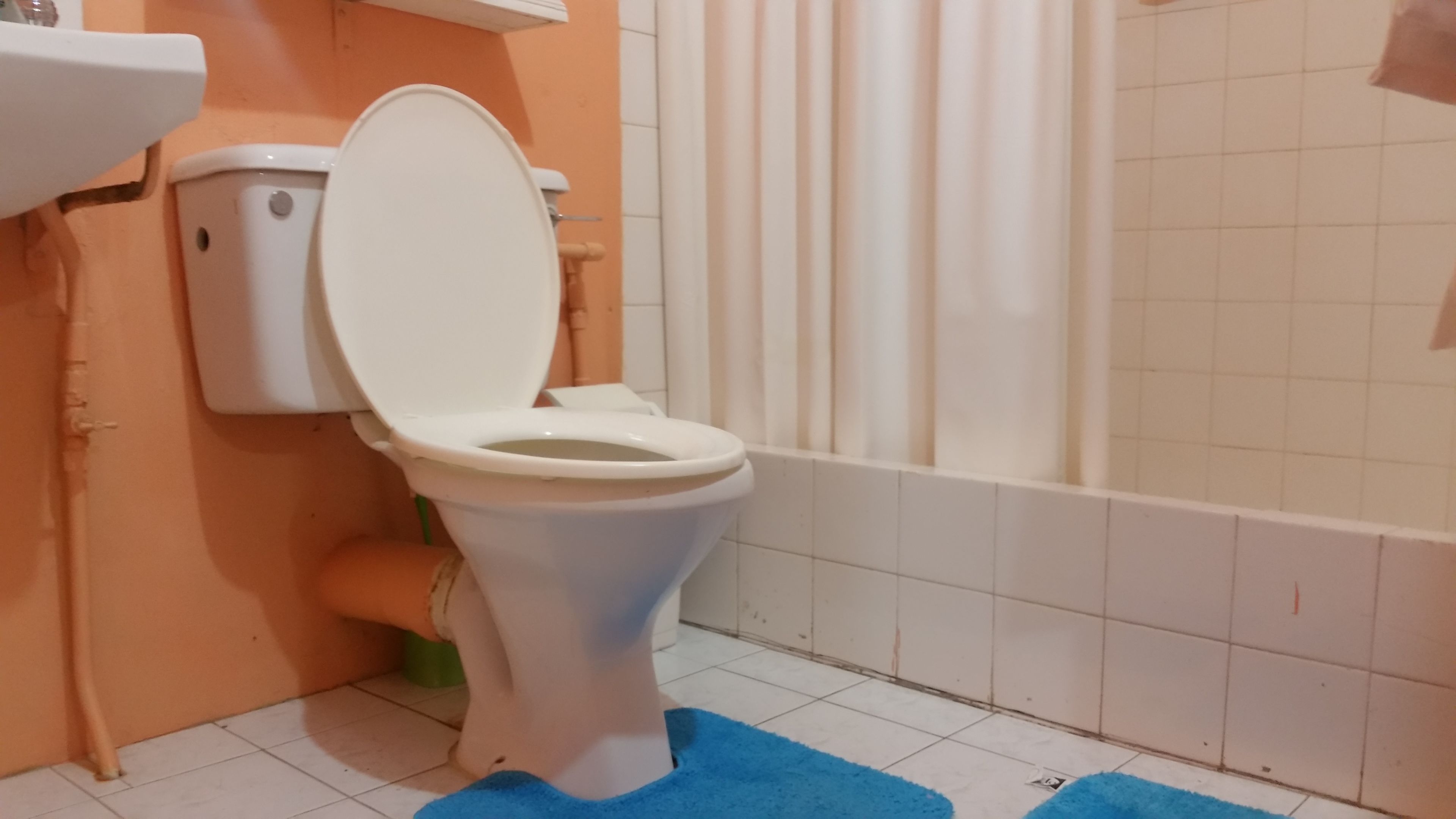 A bathroom with a toilet, a sink, and a shower area.