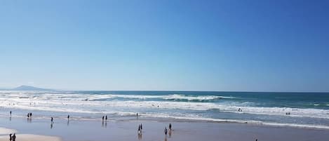 Surfing/boogie boarding