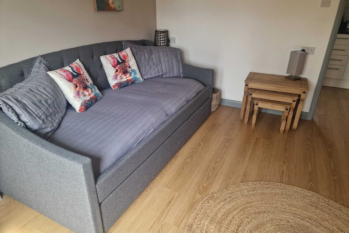 standard apartment | living area | flat-screen tv