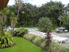 Sun deck - Hotel Villas Colibri (San José)