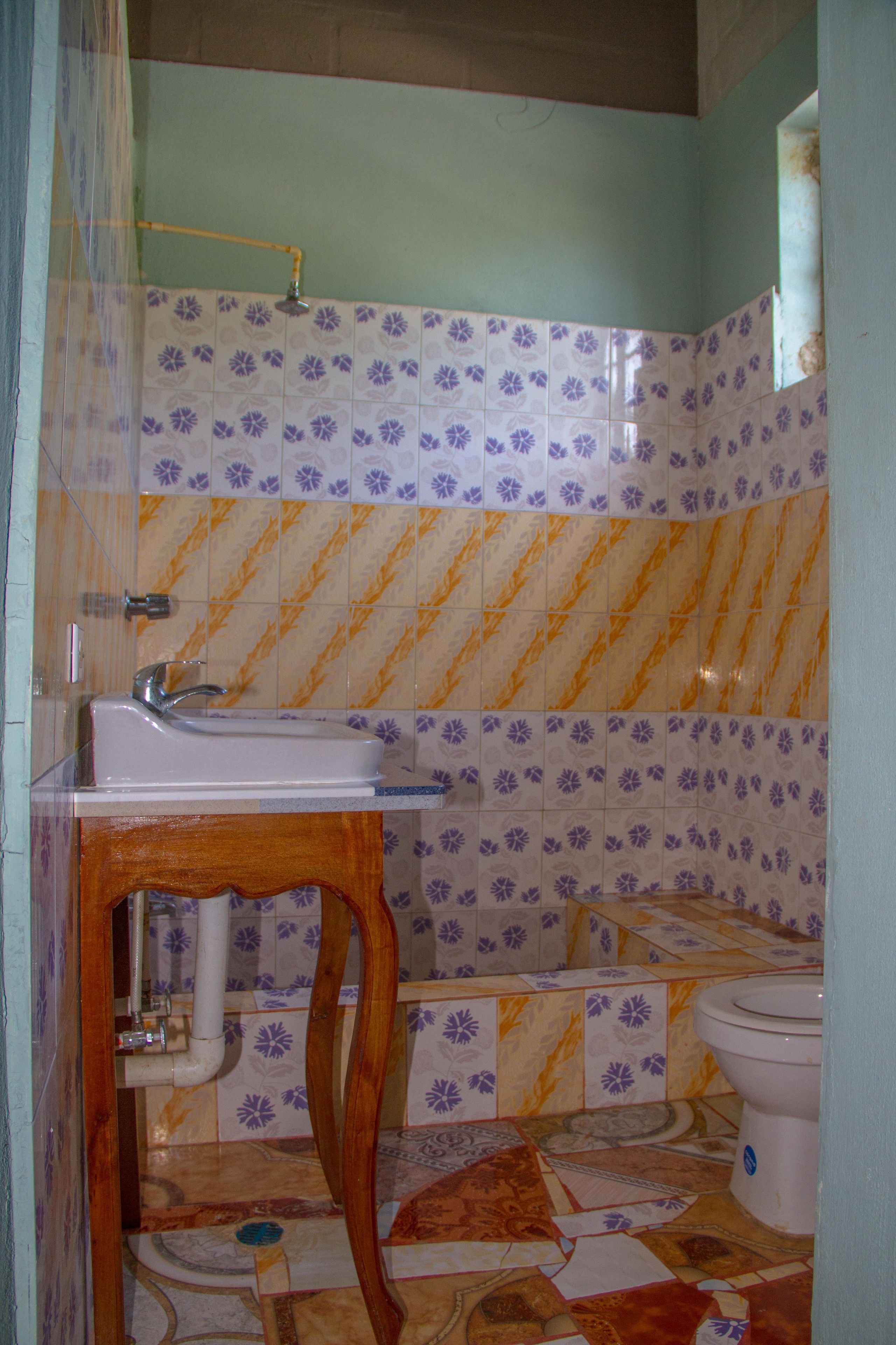 Une salle de bain avec un lavabo, des toilettes et une douche.