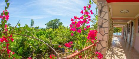 Chambre Triple | Balcon