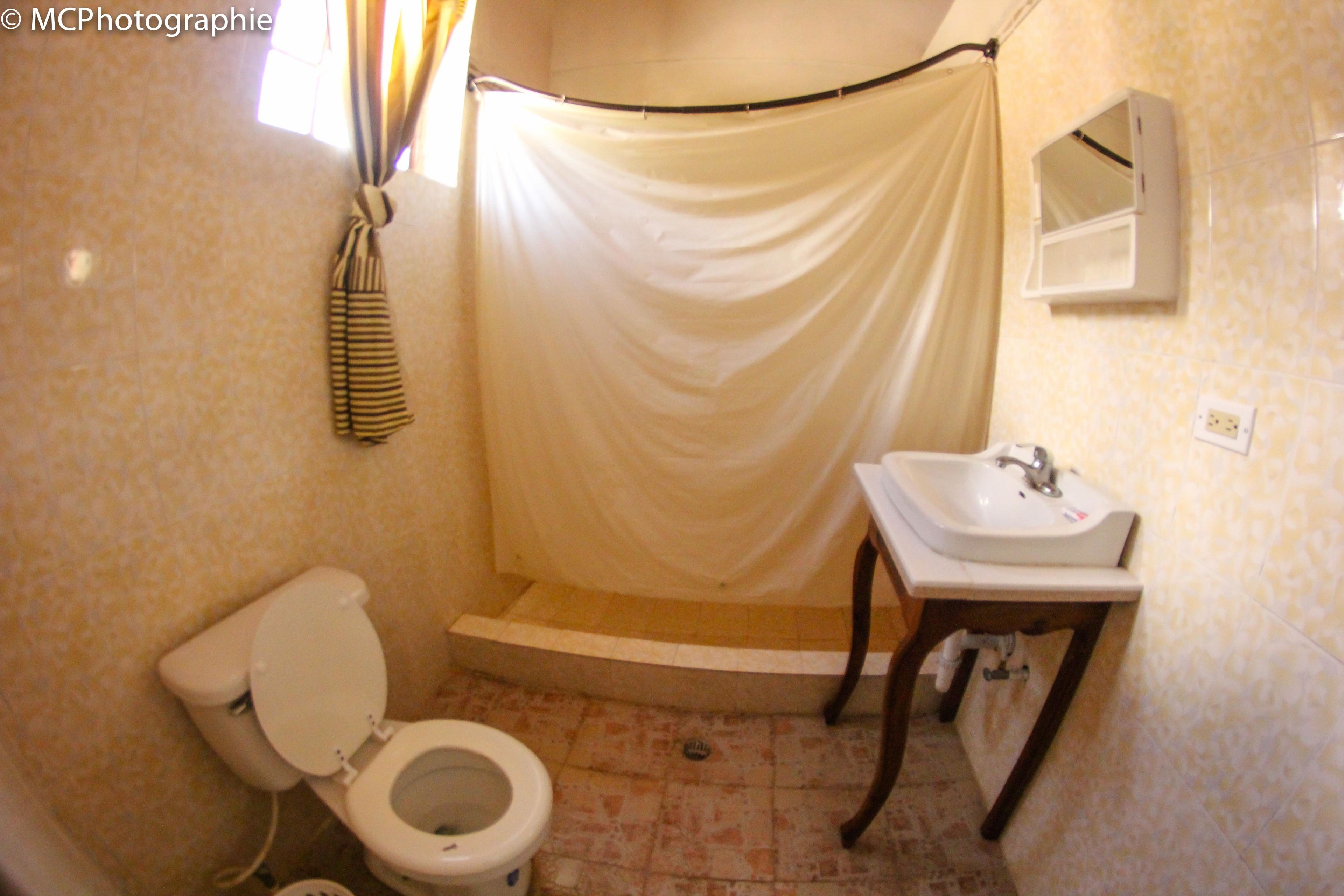 A bathroom with a toilet, a sink, and a shower curtain.