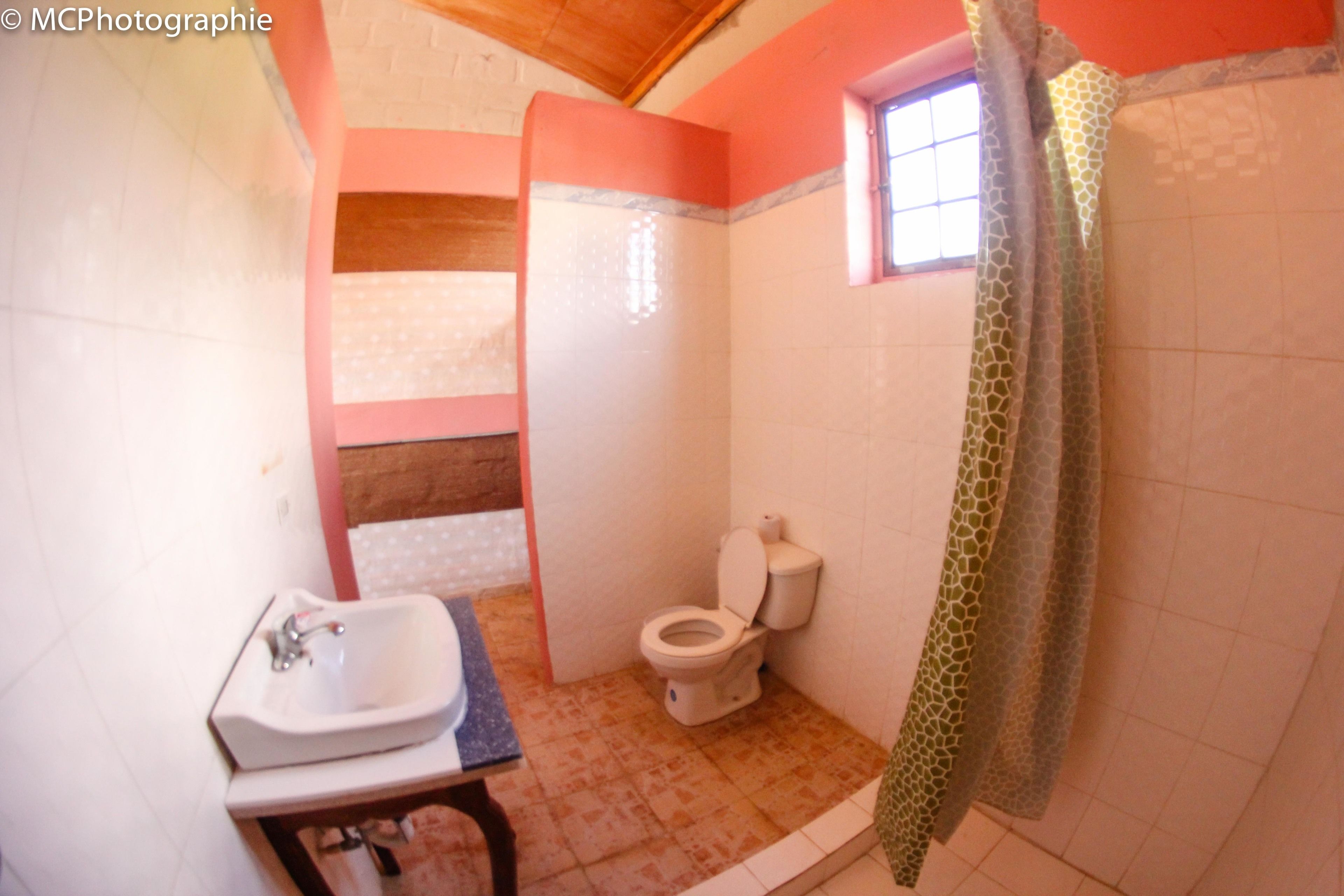A bathroom with a sink, toilet, and shower curtain.