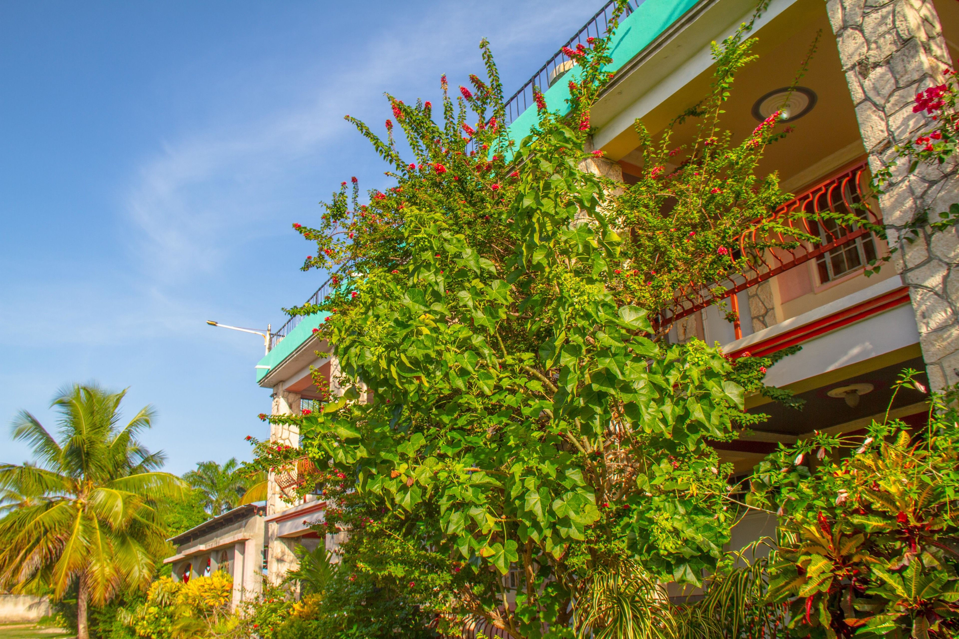 A multi-story building with balconies, surrounded by lush greenery and a clear blue sky.