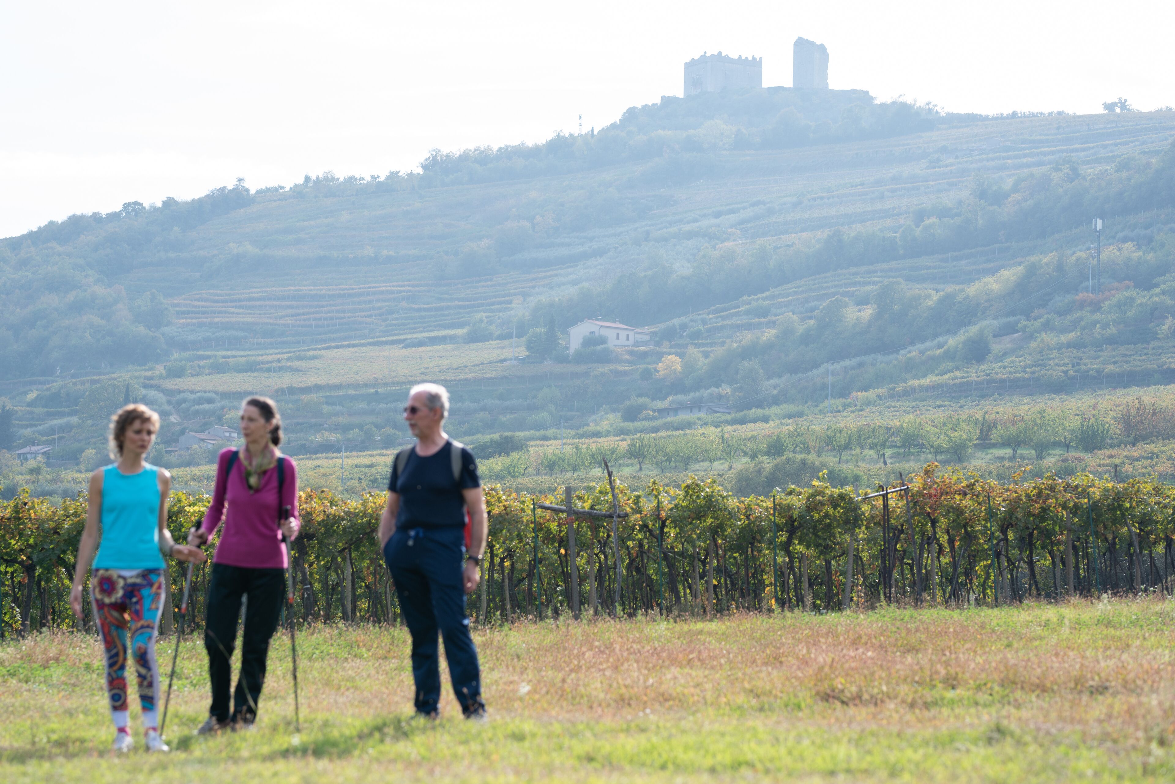 Drei Personen laufen durch einen Weinberg, im Hintergrund eine Burg.