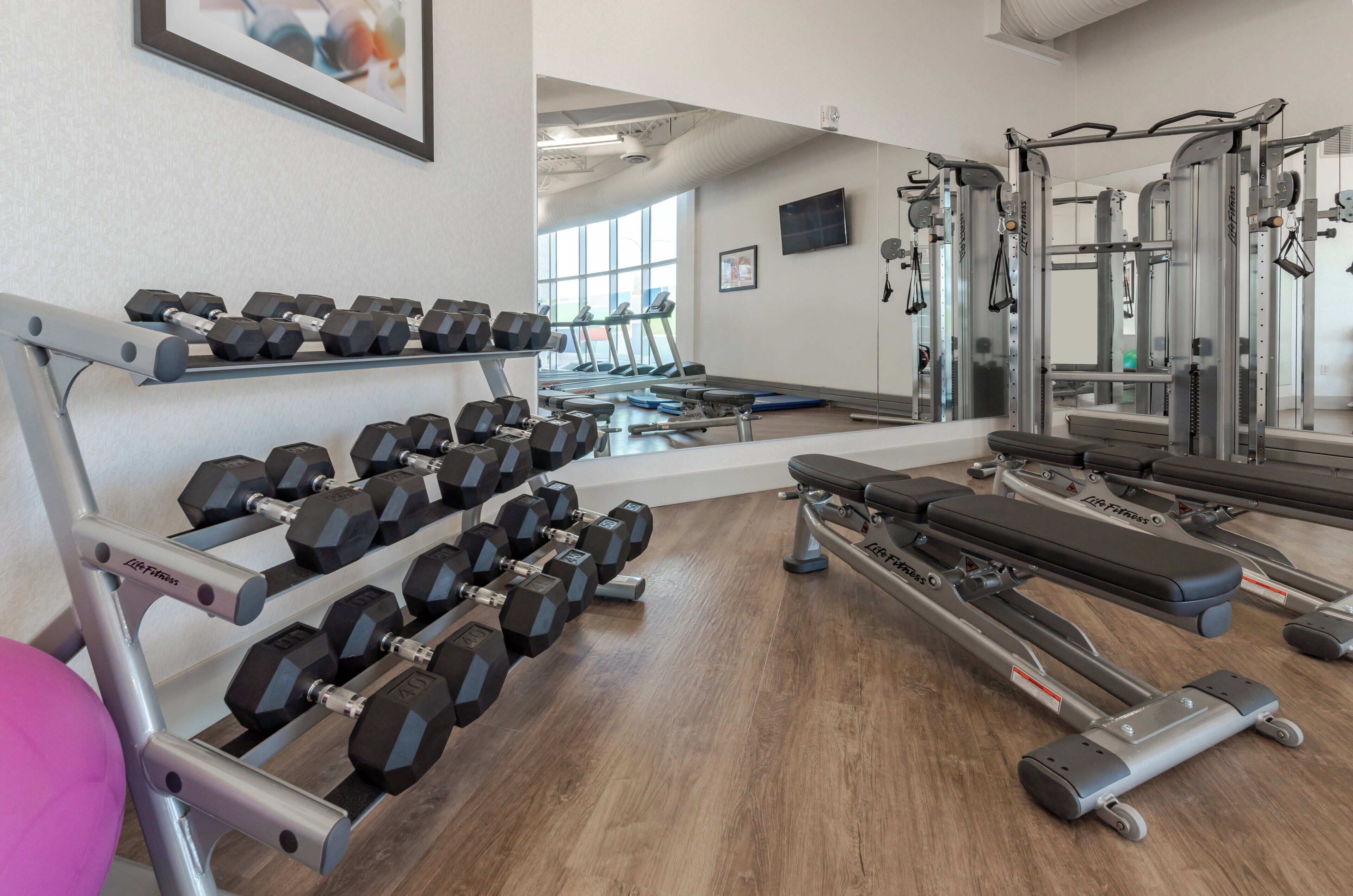 A gym with dumbbells, treadmills, and weight machines.
