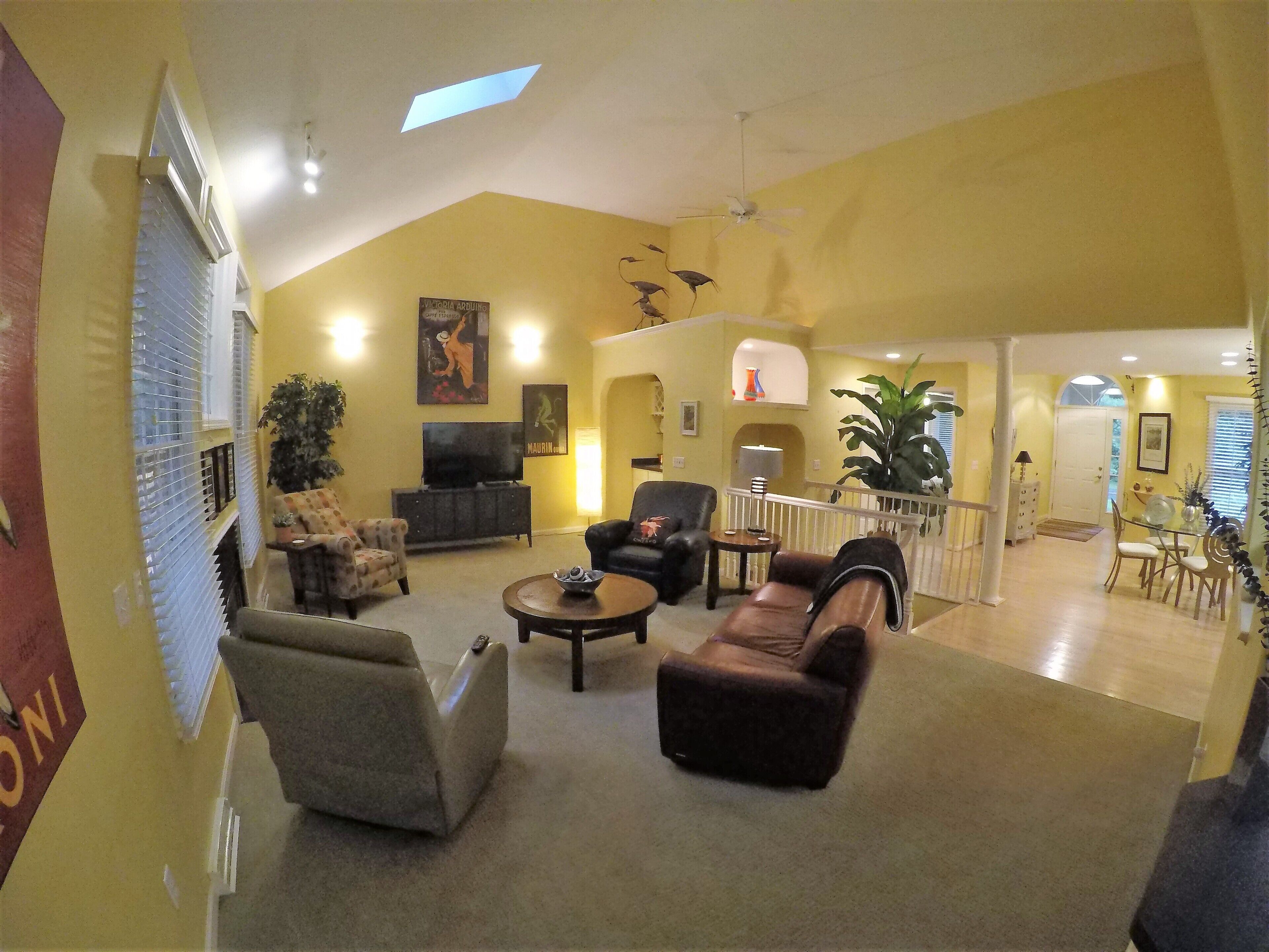 TV connectée, cheminée, jeux vidéo, lecteur de DVD