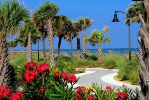 Condo, 3 chambres | Terrain de l’hébergement