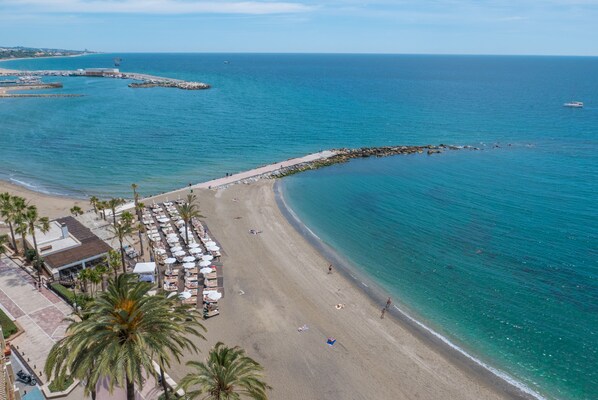 A beach with a row of palm trees, a sandy shore, and a pier extending into the water.