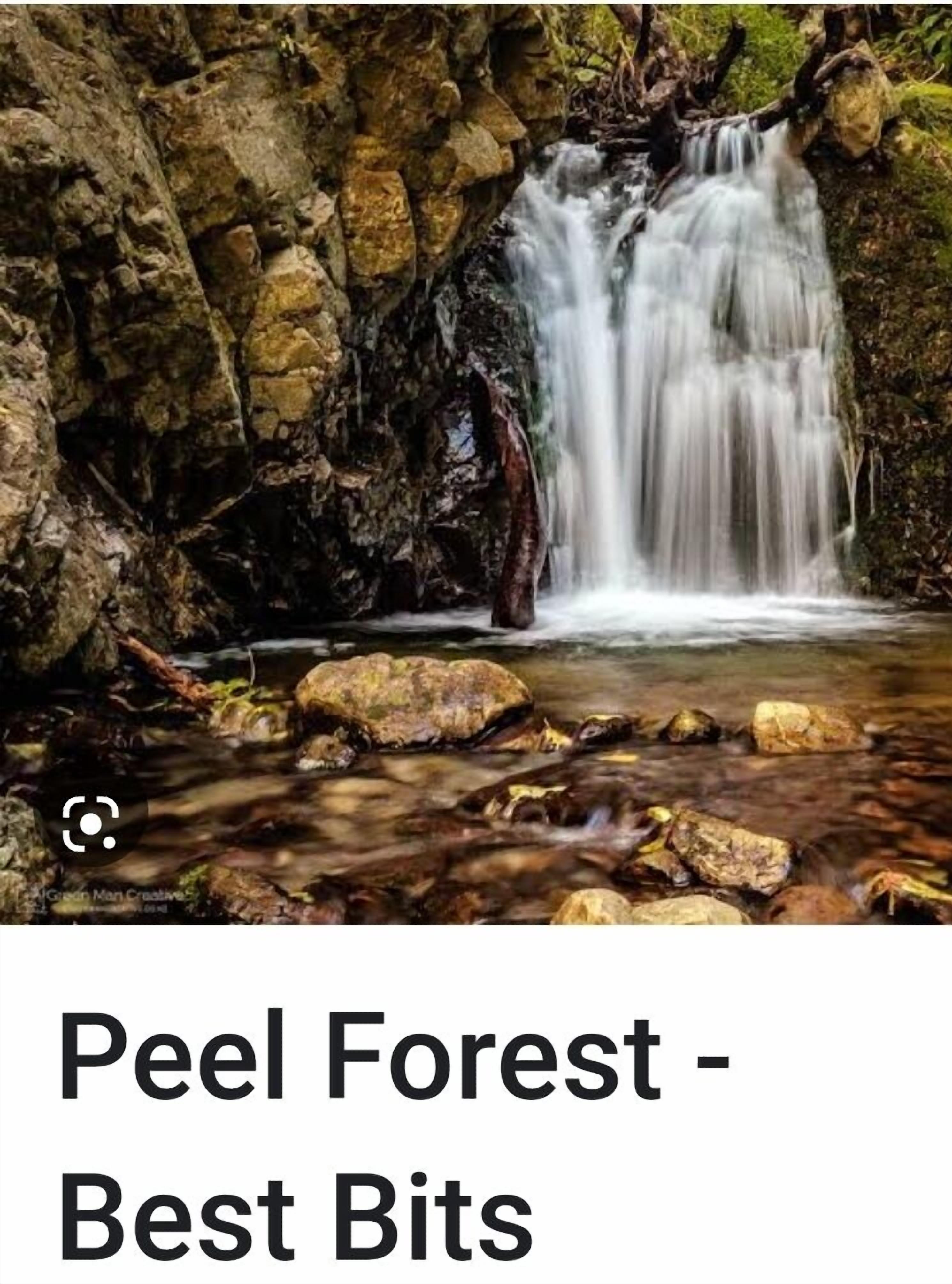 Una cascada en un área boscosa con rocas y vegetación.