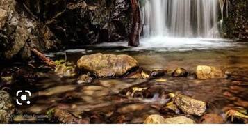 Una cascada en un área boscosa con rocas y vegetación.