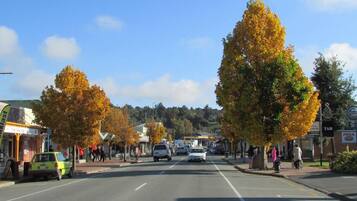 A street lined with autumn trees, a bus stop, and parked cars.