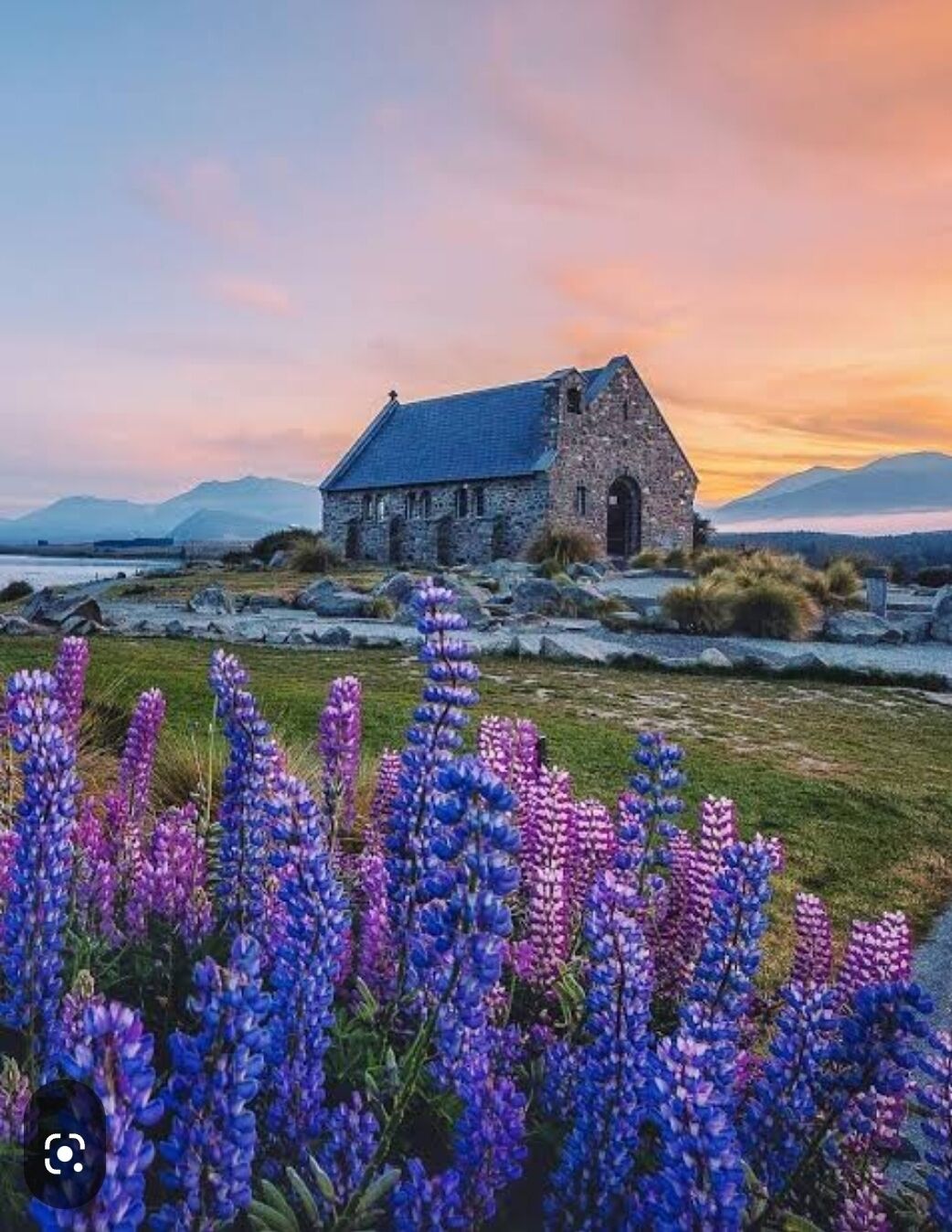 Um edifício de pedra com telhado inclinado, rodeado por um campo de flores roxas.