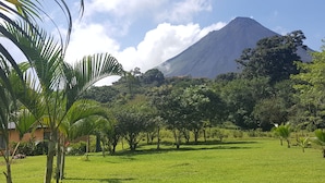 Un paysage verdoyant et luxuriant, avec une montagne en arrière-plan.
