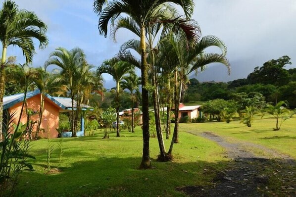 Doppia Basic, 2 letti queen, bagno privato, vista montagna | Una cassaforte in camera, ferro/asse da stiro, Wi-Fi gratuito, lenzuola