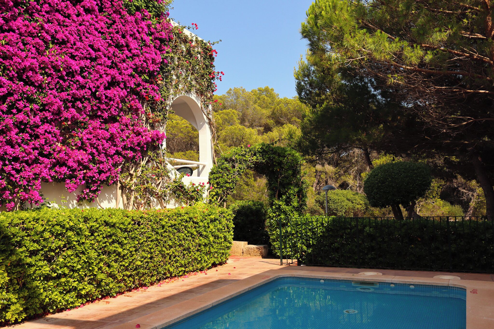 حمّام سباحة خارجي، مظلات على حمّام السباحة، مقاعد للتشمس