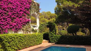 Outdoor pool, pool umbrellas, sun loungers