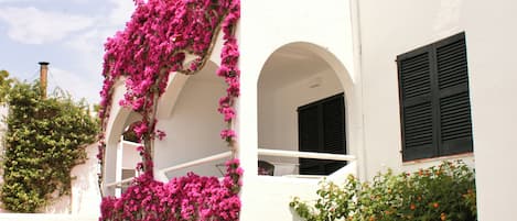 A white building with pink flowering vines, green shrubs, and a clear sky.