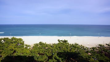 在海灘附近