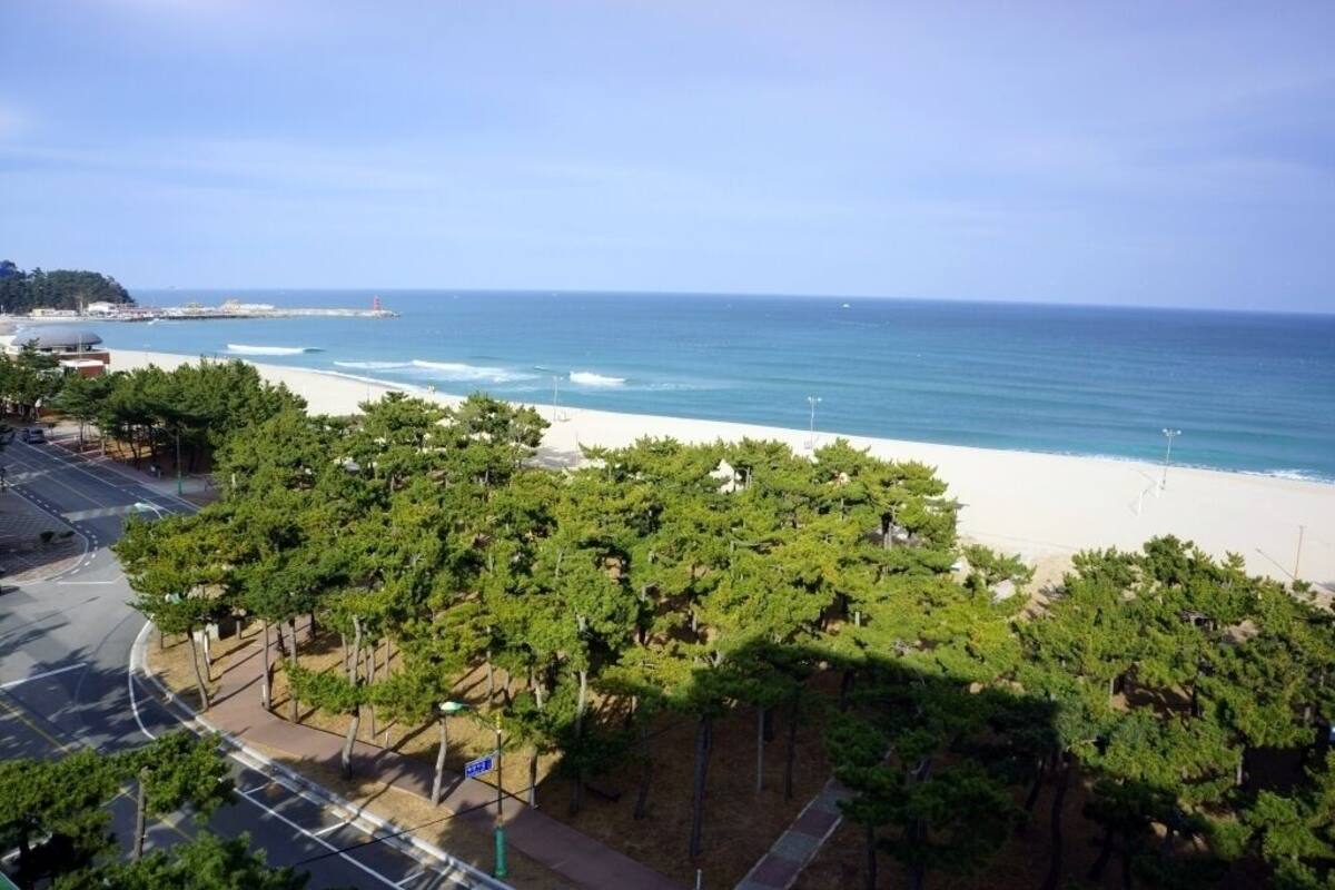 Family Room, Ocean View | Blackout drapes, WiFi (free)