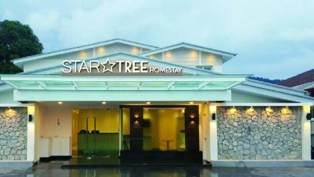 A modern hotel entrance with a stone facade, a glass door, and the name "STAR TREE HOMESTAY" displayed above. - Star Tree Homestay (Kuantan)