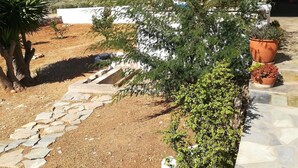 Un sentiero in pietra conduce a un edificio bianco con un portico coperto, circondato da vasi di piante e vista sul mare.