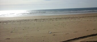 A Luminous and Spacious Medina House with a Rooftop Chillout Terrace 