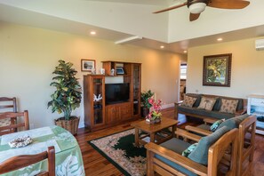 Flat-screen TV, Netflix, DVD player, streaming services