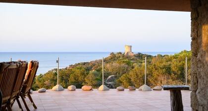 Villa la Tulipe - Pearl on the Gulf of Figari - 100m from beach - 8000 m-2 garden