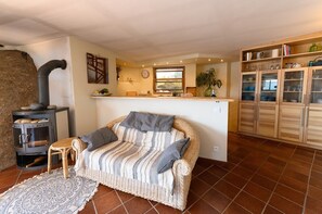 Télévision, cheminée, livres, chaîne hi-fi